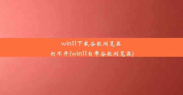 win11下载谷歌浏览器打不开(win11自带谷歌浏览器)