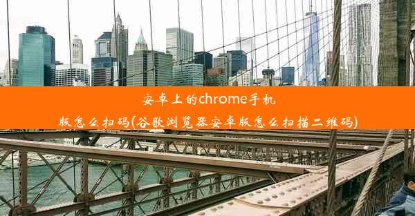 安卓上的chrome手机版怎么扫码(谷歌浏览器安卓版怎么扫描二维码)