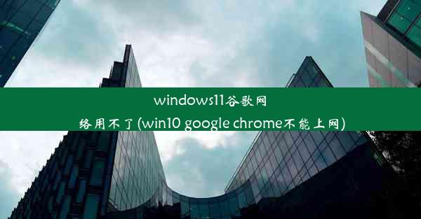 windows11谷歌网络用不了(win10 google chrome不能上网)