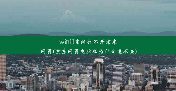 win11系统打不开京东网页(京东网页电脑版为什么进不去)