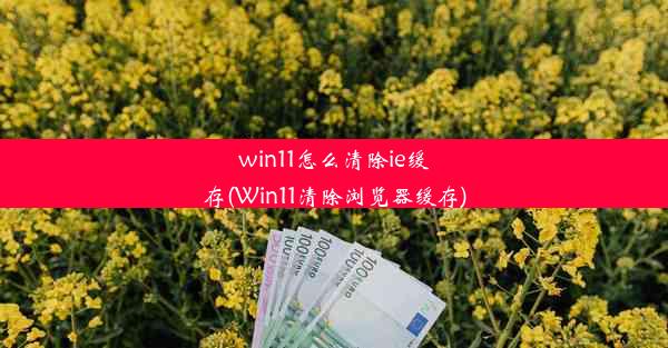 win11怎么清除ie缓存(Win11清除浏览器缓存)