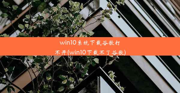 win10系统下载谷歌打不开(win10下载不了谷歌)