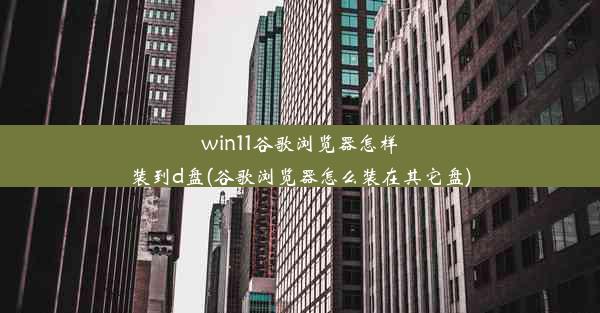 win11谷歌浏览器怎样装到d盘(谷歌浏览器怎么装在其它盘)