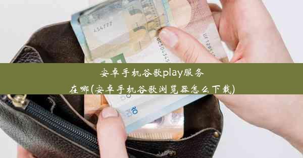 安卓手机谷歌play服务在哪(安卓手机谷歌浏览器怎么下载)