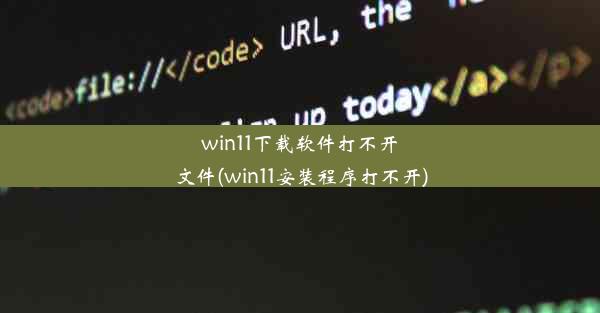 win11下载软件打不开文件(win11安装程序打不开)