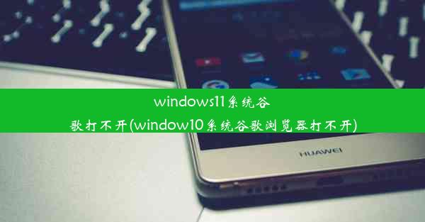 windows11系统谷歌打不开(window10系统谷歌浏览器打不开)