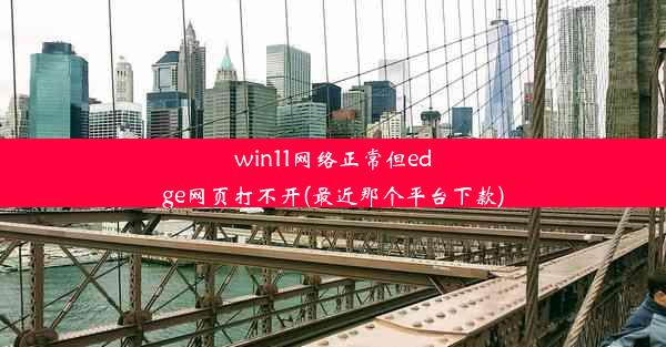 win11网络正常但edge网页打不开(最近那个平台下款)