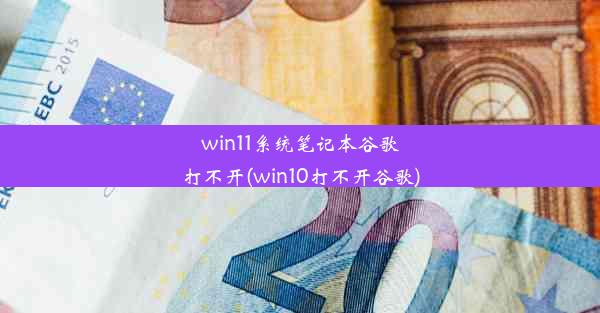 win11系统笔记本谷歌打不开(win10打不开谷歌)