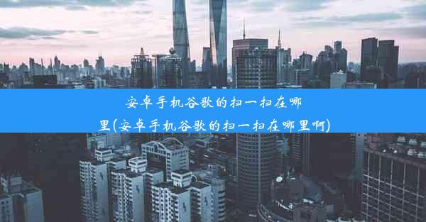 安卓手机谷歌的扫一扫在哪里(安卓手机谷歌的扫一扫在哪里啊)