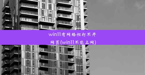 win11有网络但打不开网页(win11不能上网)