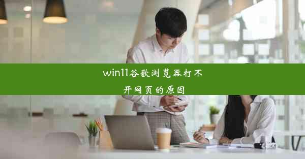 win11谷歌浏览器打不开网页的原因