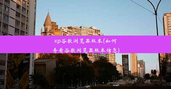 xp谷歌浏览器版本(如何查看谷歌浏览器版本信息)