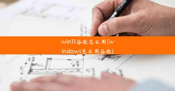 win11谷歌怎么用(windows怎么用谷歌)