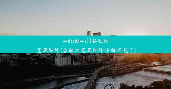 windows11谷歌浏览器翻译(谷歌浏览器翻译按钮不见了)