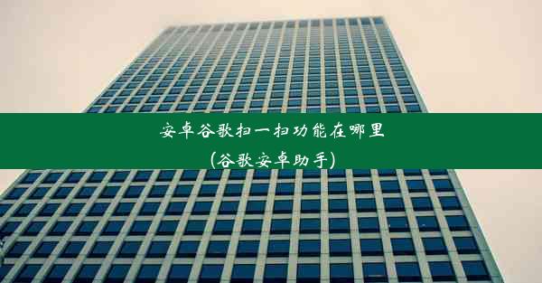 安卓谷歌扫一扫功能在哪里(谷歌安卓助手)