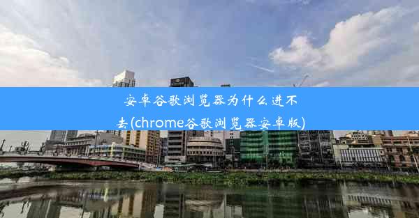 安卓谷歌浏览器为什么进不去(chrome谷歌浏览器安卓版)