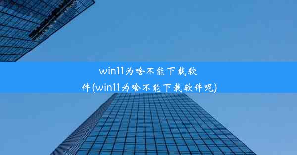 win11为啥不能下载软件(win11为啥不能下载软件呢)