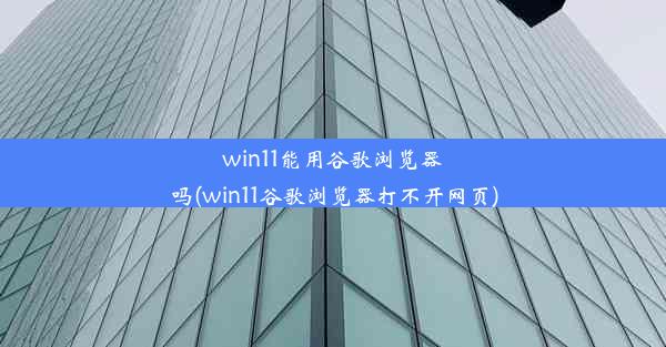 win11能用谷歌浏览器吗(win11谷歌浏览器打不开网页)