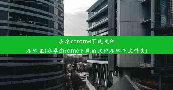 安卓chrome下载文件在哪里(安卓chrome下载的文件在哪个文件夹)