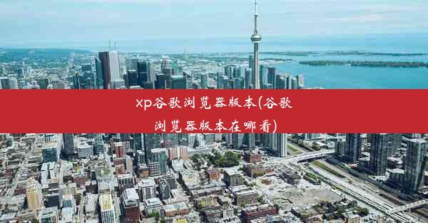 xp谷歌浏览器版本(谷歌浏览器版本在哪看)