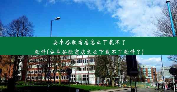 安卓谷歌商店怎么下载不了软件(安卓谷歌商店怎么下载不了软件了)