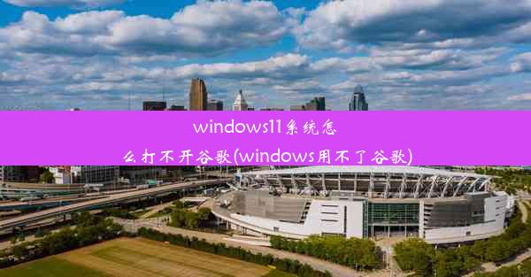 windows11系统怎么打不开谷歌(windows用不了谷歌)