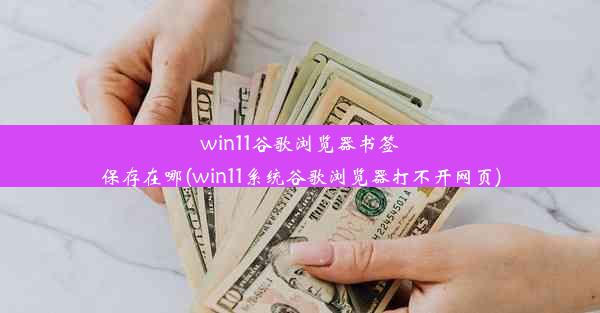 win11谷歌浏览器书签保存在哪(win11系统谷歌浏览器打不开网页)