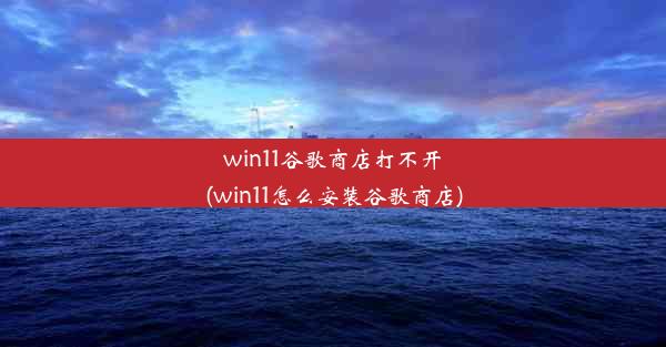 win11谷歌商店打不开(win11怎么安装谷歌商店)