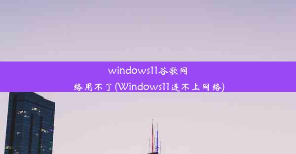 windows11谷歌网络用不了(Windows11连不上网络)