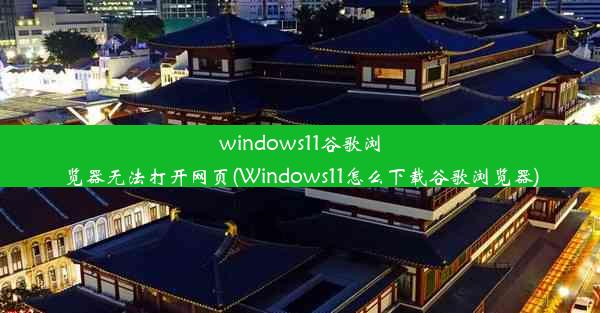 windows11谷歌浏览器无法打开网页(Windows11怎么下载谷歌浏览器)