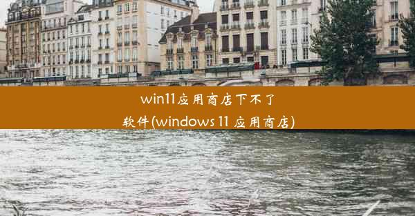 win11应用商店下不了软件(windows 11 应用商店)