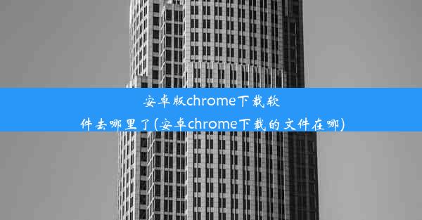 安卓版chrome下载软件去哪里了(安卓chrome下载的文件在哪)