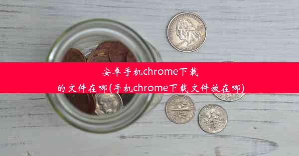 安卓手机chrome下载的文件在哪(手机chrome下载文件放在哪)