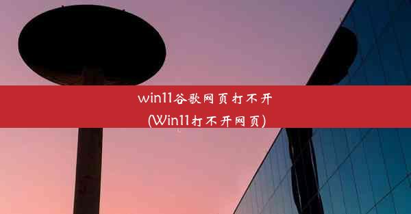 win11谷歌网页打不开(Win11打不开网页)