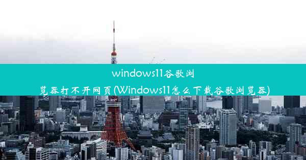 windows11谷歌浏览器打不开网页(Windows11怎么下载谷歌浏览器)