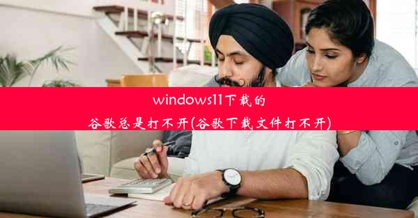 windows11下载的谷歌总是打不开(谷歌下载文件打不开)