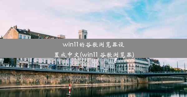 win11的谷歌浏览器设置成中文(win11 谷歌浏览器)