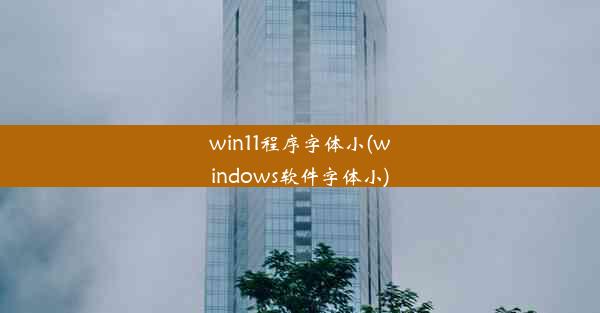 win11程序字体小(windows软件字体小)