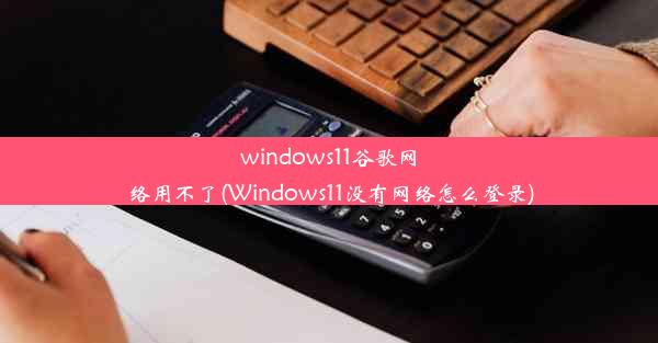 windows11谷歌网络用不了(Windows11没有网络怎么登录)