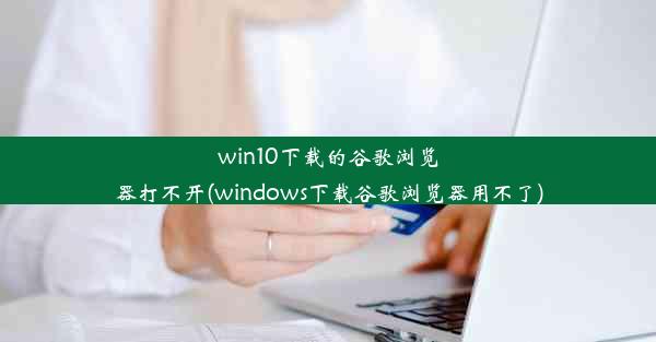 win10下载的谷歌浏览器打不开(windows下载谷歌浏览器用不了)