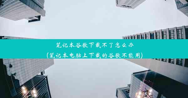 笔记本谷歌下载不了怎么办(笔记本电脑上下载的谷歌不能用)