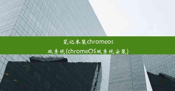 笔记本装chromeos双系统(chromeOS双系统安装)