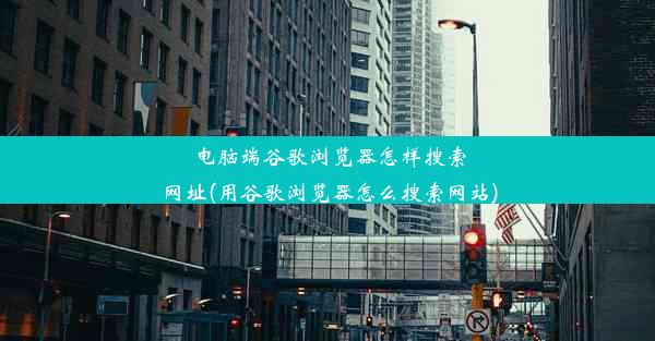 电脑端谷歌浏览器怎样搜索网址(用谷歌浏览器怎么搜索网站)