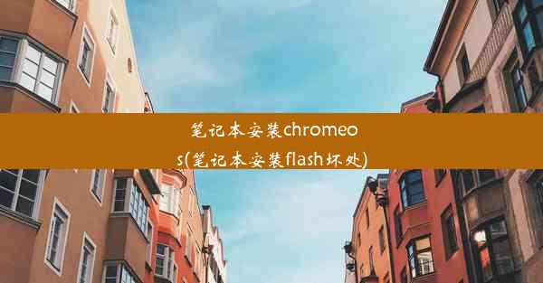 笔记本安装chromeos(笔记本安装flash坏处)