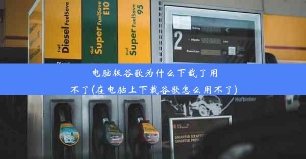 电脑版谷歌为什么下载了用不了(在电脑上下载谷歌怎么用不了)