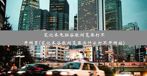 笔记本电脑谷歌浏览器打不开网页(笔记本谷歌浏览器为什么打不开网站)