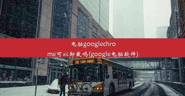 电脑googlechrome可以卸载吗(google电脑软件)