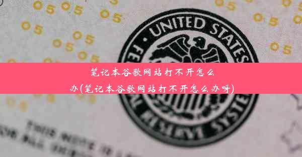 笔记本谷歌网站打不开怎么办(笔记本谷歌网站打不开怎么办呀)