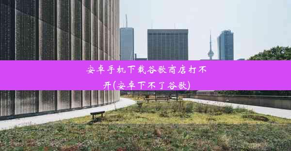 安卓手机下载谷歌商店打不开(安卓下不了谷歌)