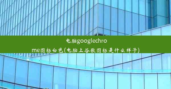 电脑googlechrome图标白色(电脑上谷歌图标是什么样子)